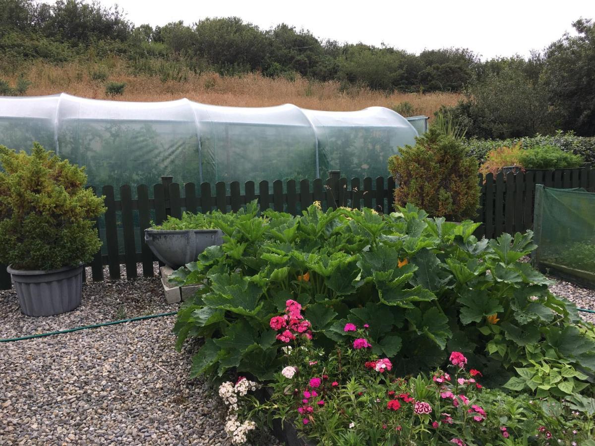 The Garden Room At Sleepy Hollow Louisburgh Esterno foto